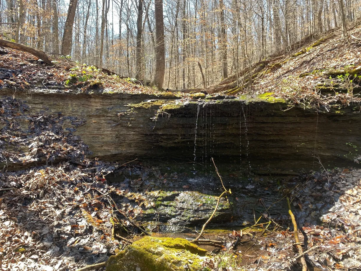 Nashville, TN Real Estate | View 0 Anderson Rd