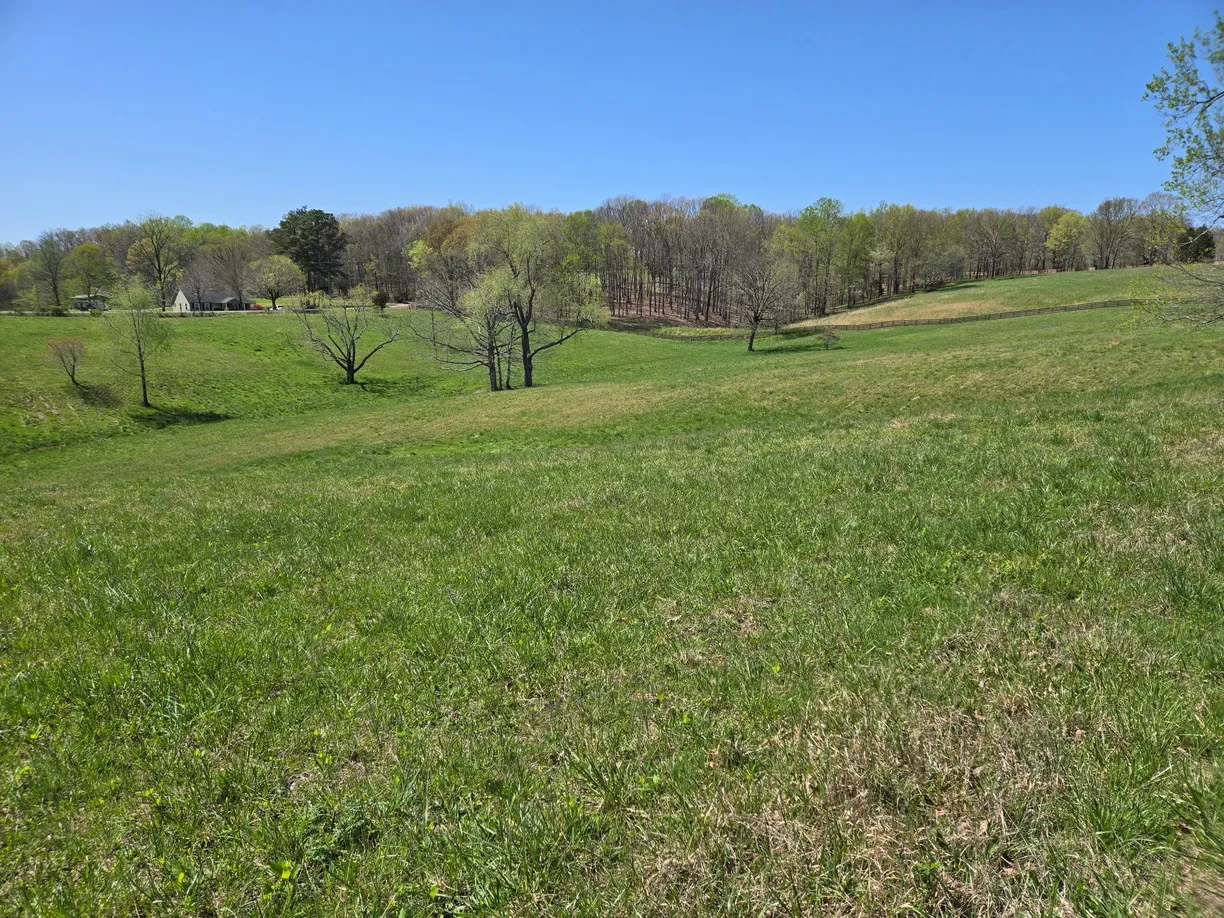 Nashville, TN Real Estate | View 0 Cowan Rd