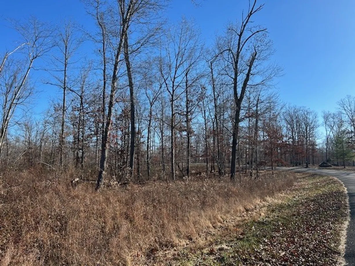 3 Slaughter Rd, Primm Springs, TN 38476 Property for sale