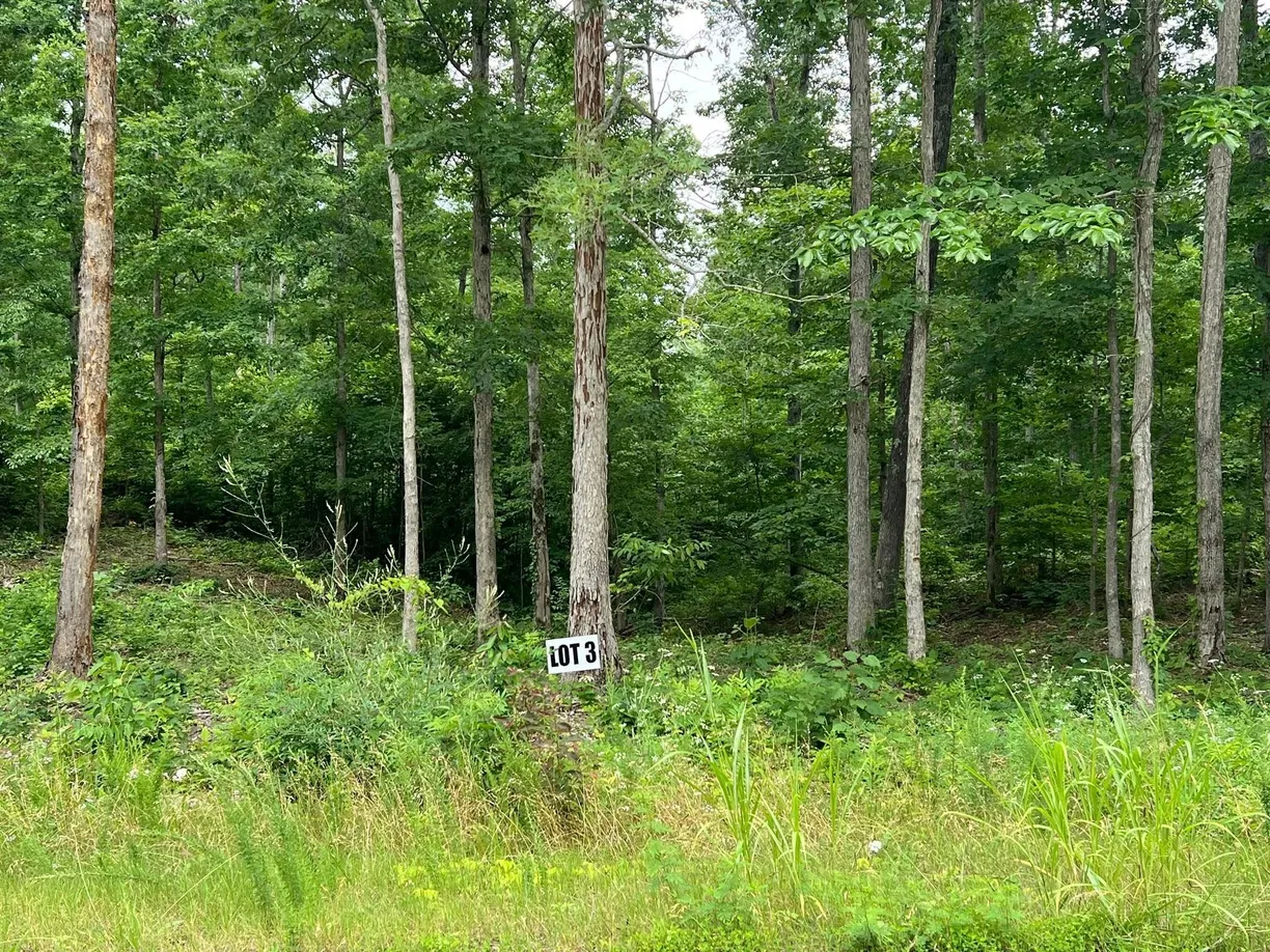 3 Slaughter Rd, Primm Springs, TN 38476 Property for sale