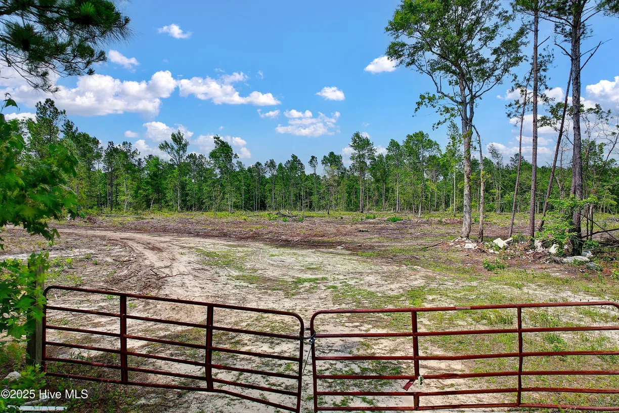 Wilmington, NC Real Estate | View 75 Ac Southport-Supply | Listing