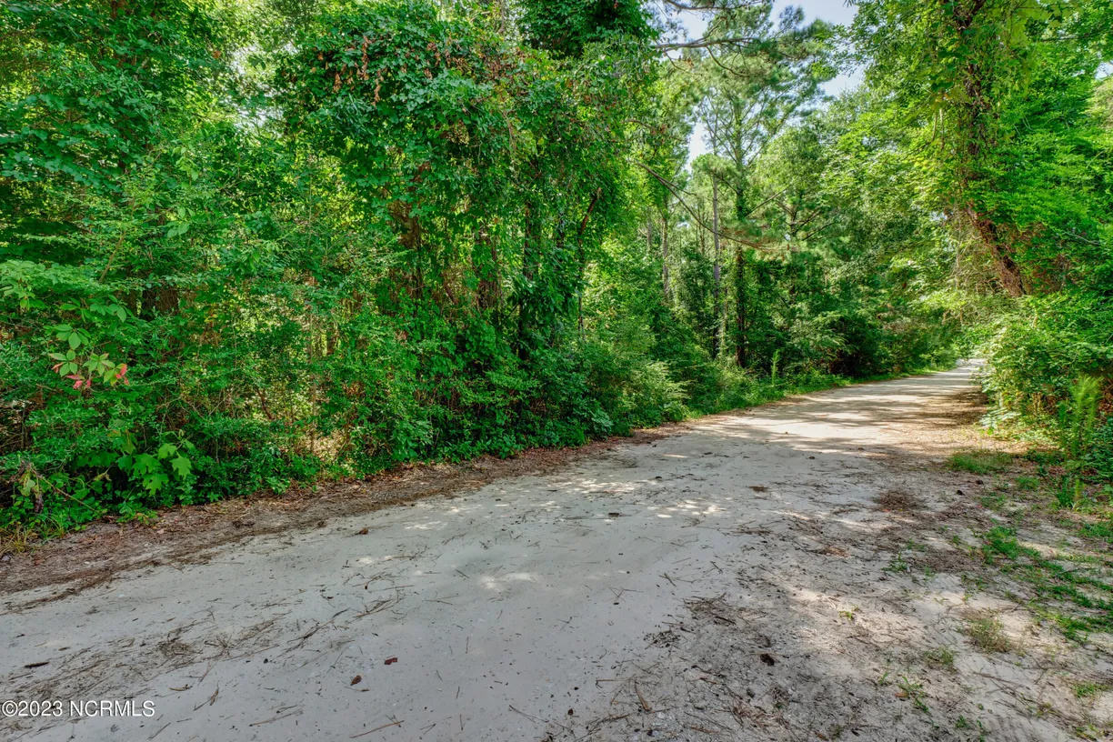 Wilmington, NC Real Estate | View 0 Riley Lewis | Listing