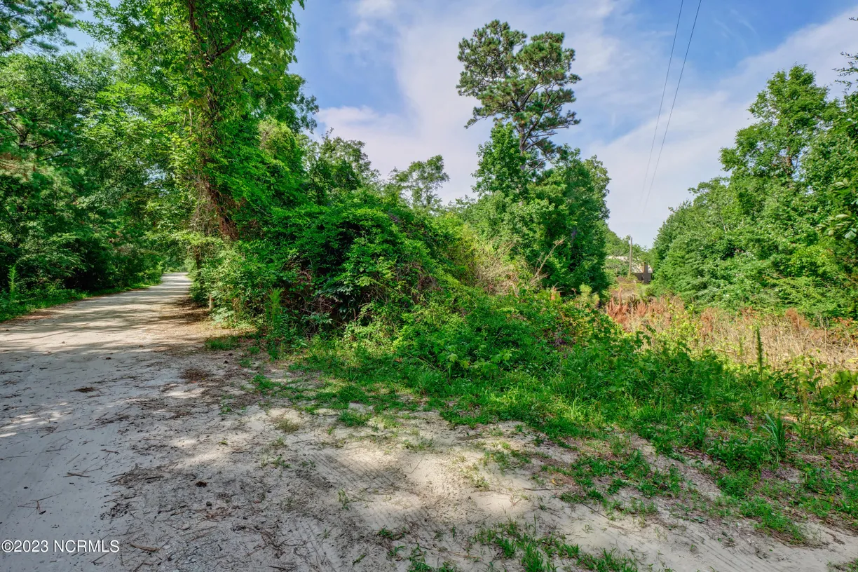 Wilmington, NC Real Estate | View 0 Riley Lewis