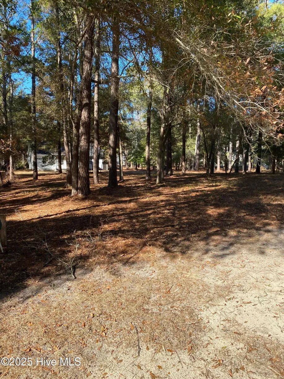 Wilmington, NC Real Estate | View 664 Cypress Grove