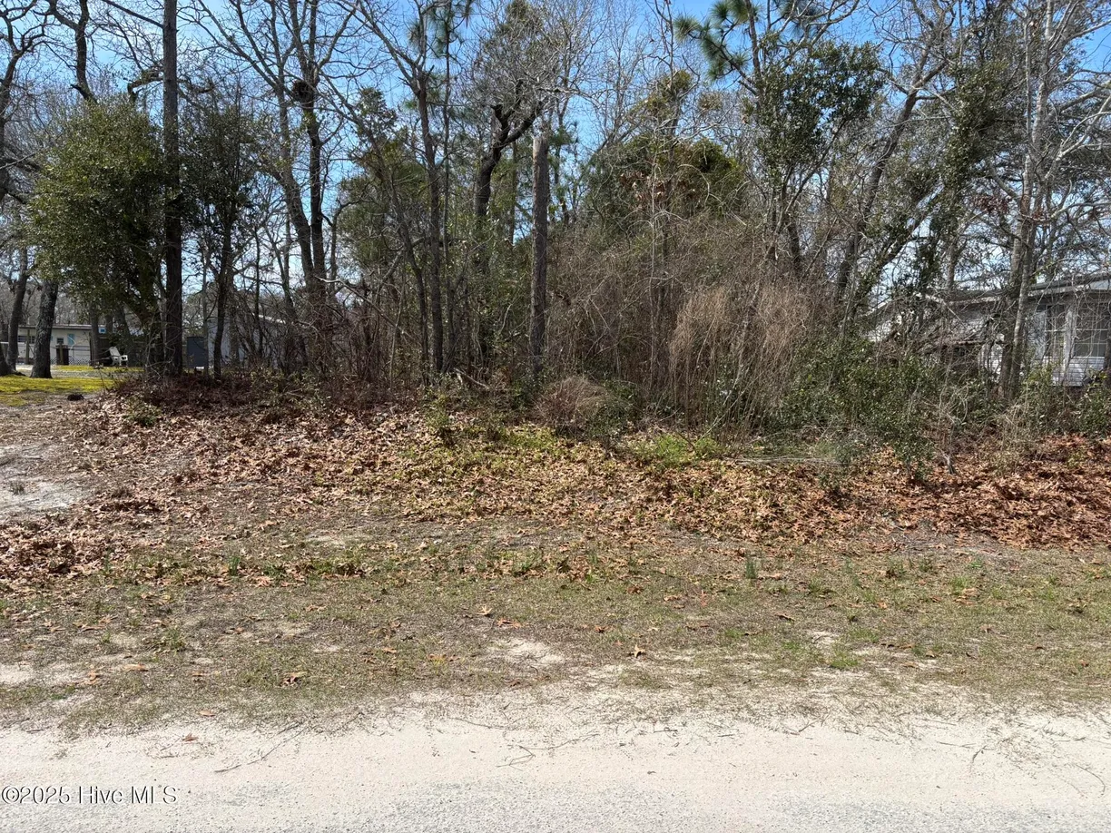 Wilmington, NC Real Estate | View 2019 Cedar