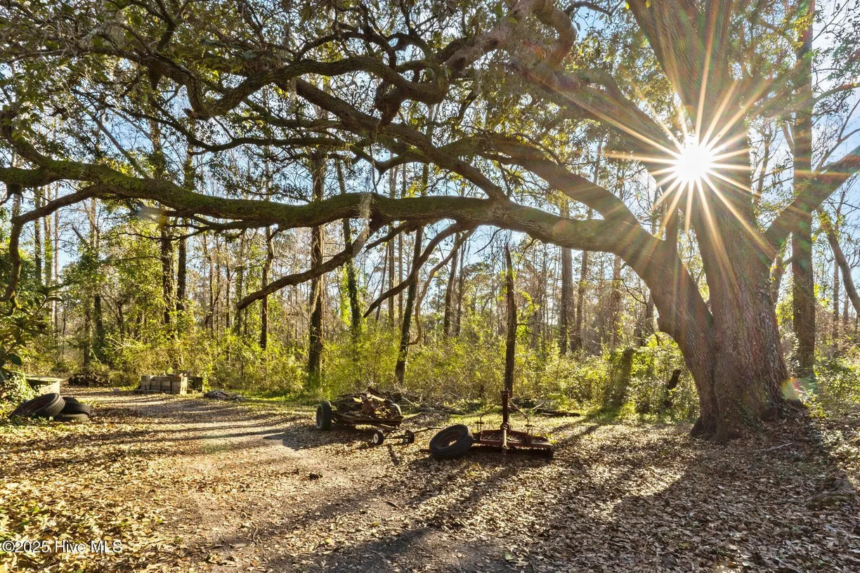Wilmington, NC Real Estate | View 1050 Navaho