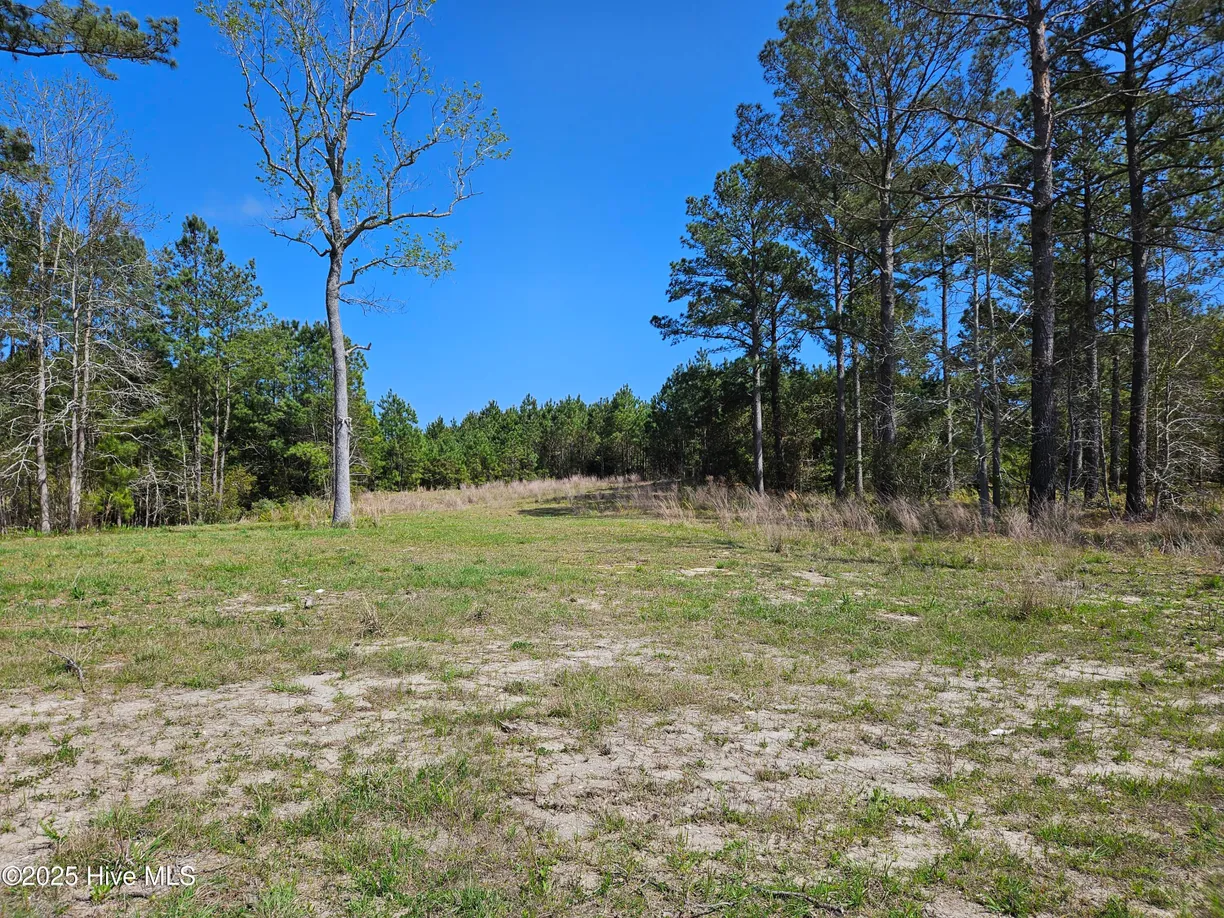 Wilmington, NC Real Estate | View 7510 Haddington | Listing