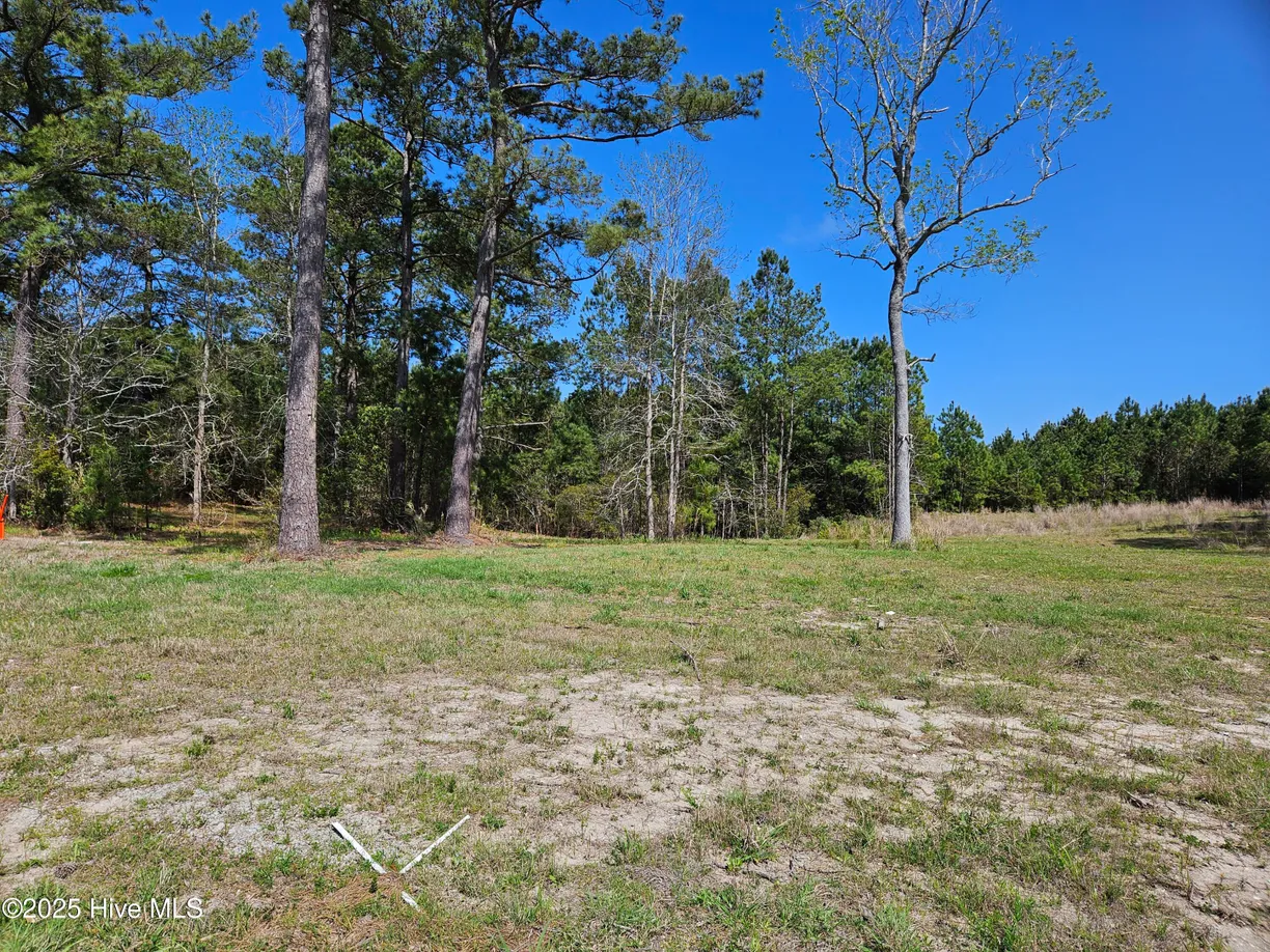 Wilmington, NC Real Estate | View 7510 Haddington
