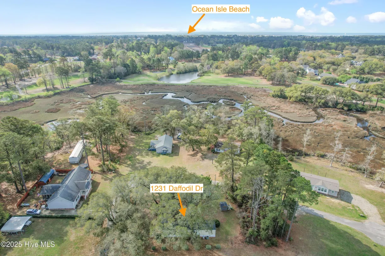 Wilmington, NC Real Estate | View 1231 Daffodil | Listing