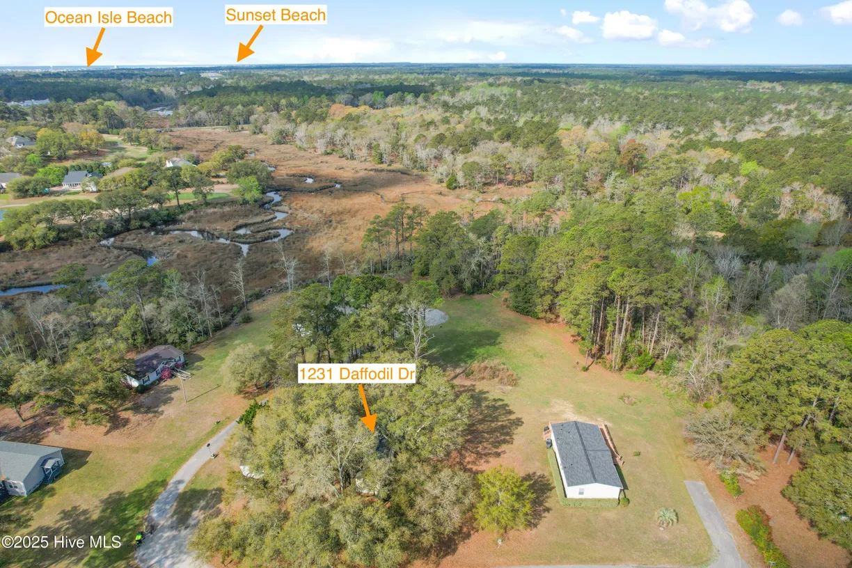 Wilmington, NC Real Estate | View 1231 Daffodil | Listing
