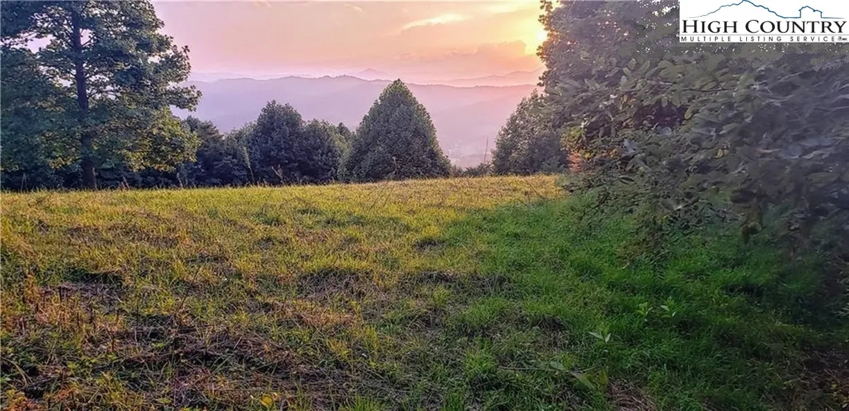 Charlotte Real Estate | View TBD Tangled Stone Drive | Listing