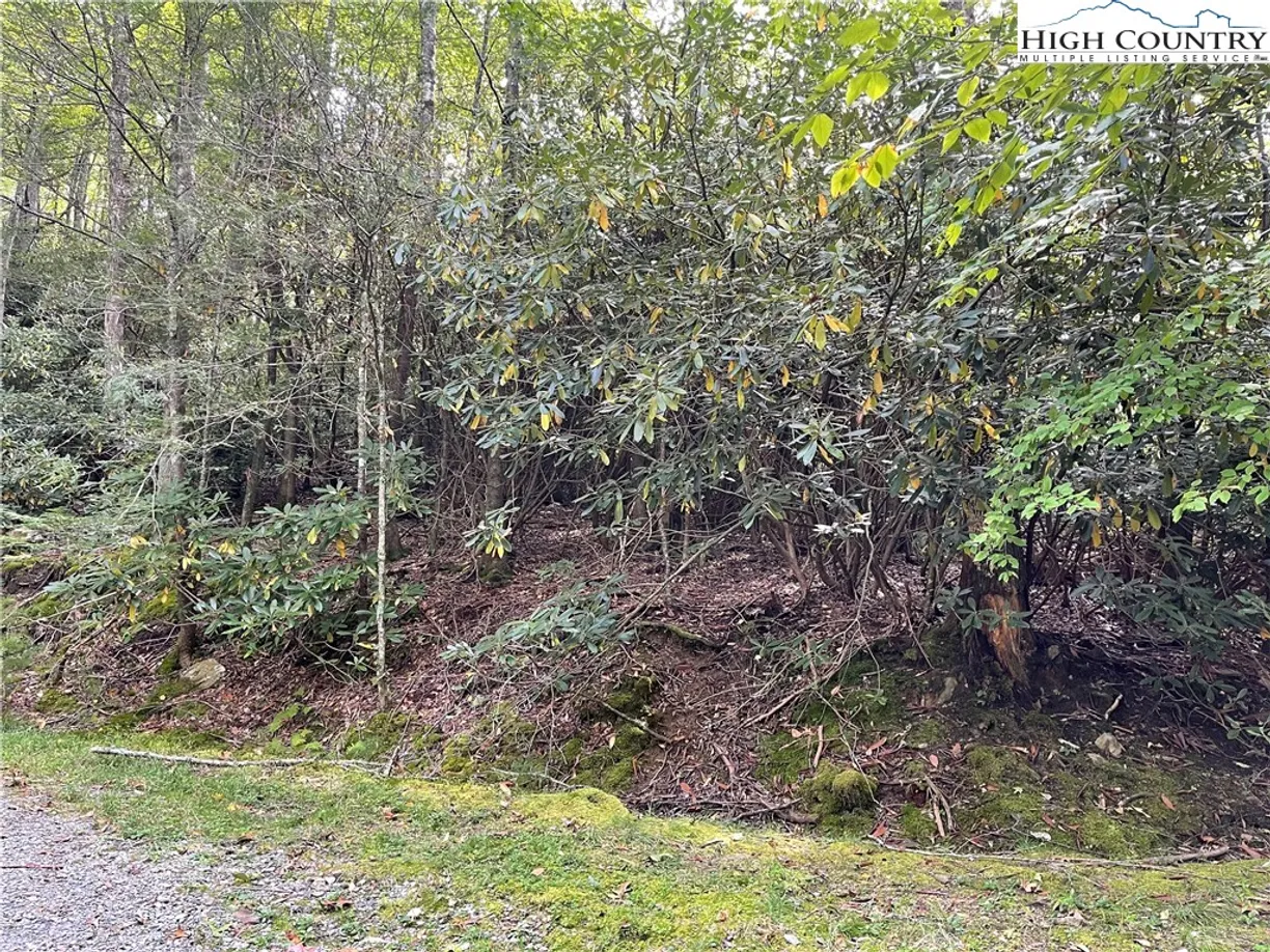 Charlotte Real Estate | View 000 Marlowe Hill | Listing