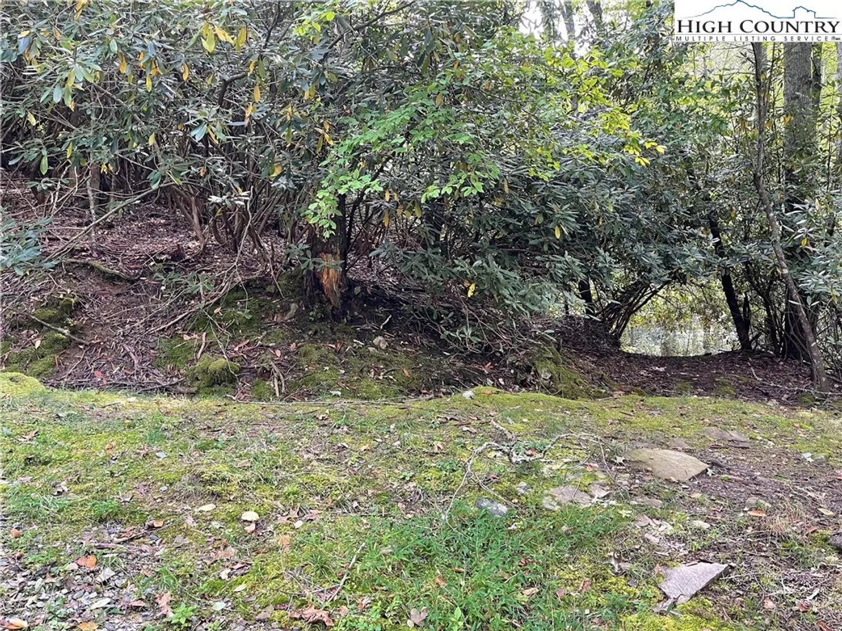 Charlotte Real Estate | View 000 Marlowe Hill