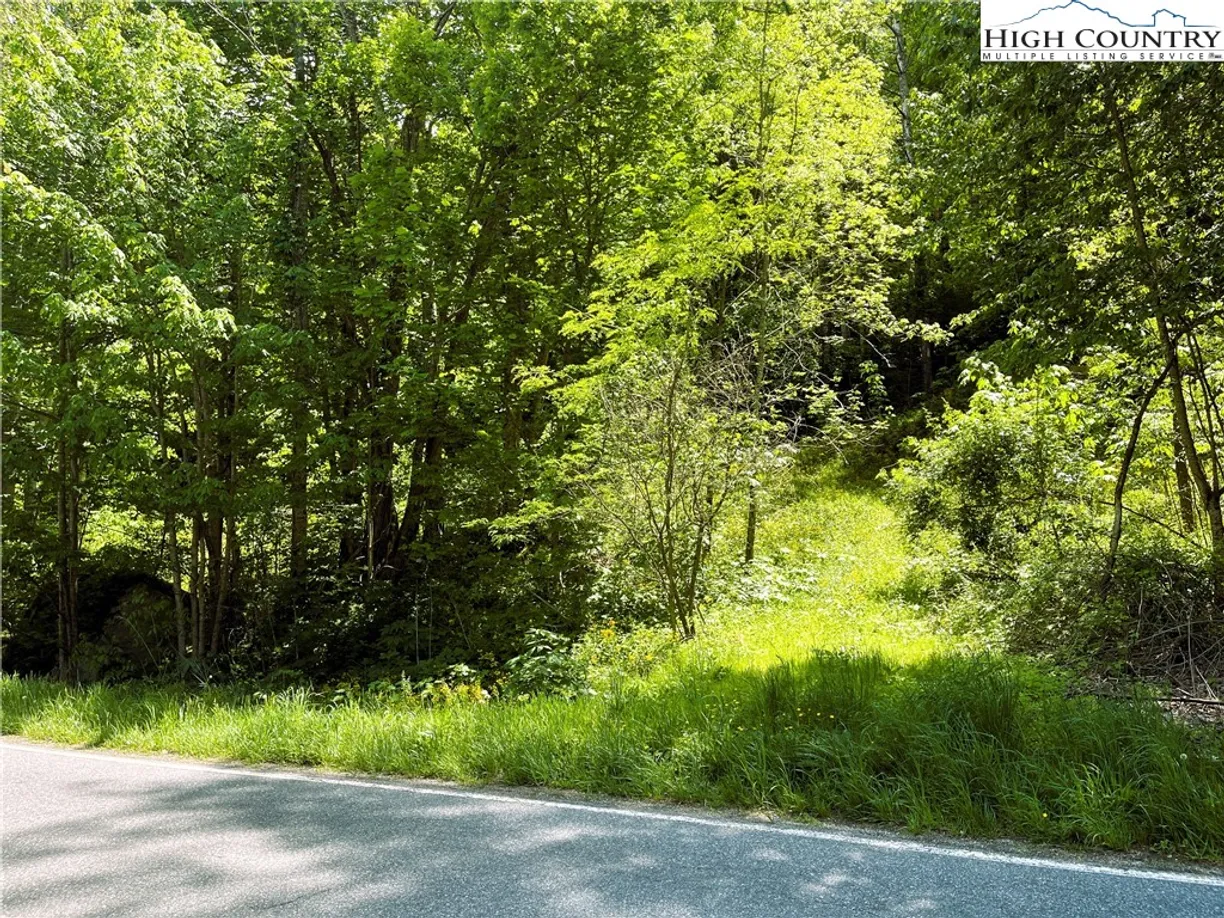 Charlotte Real Estate | View TBD HWY-321 | Listing