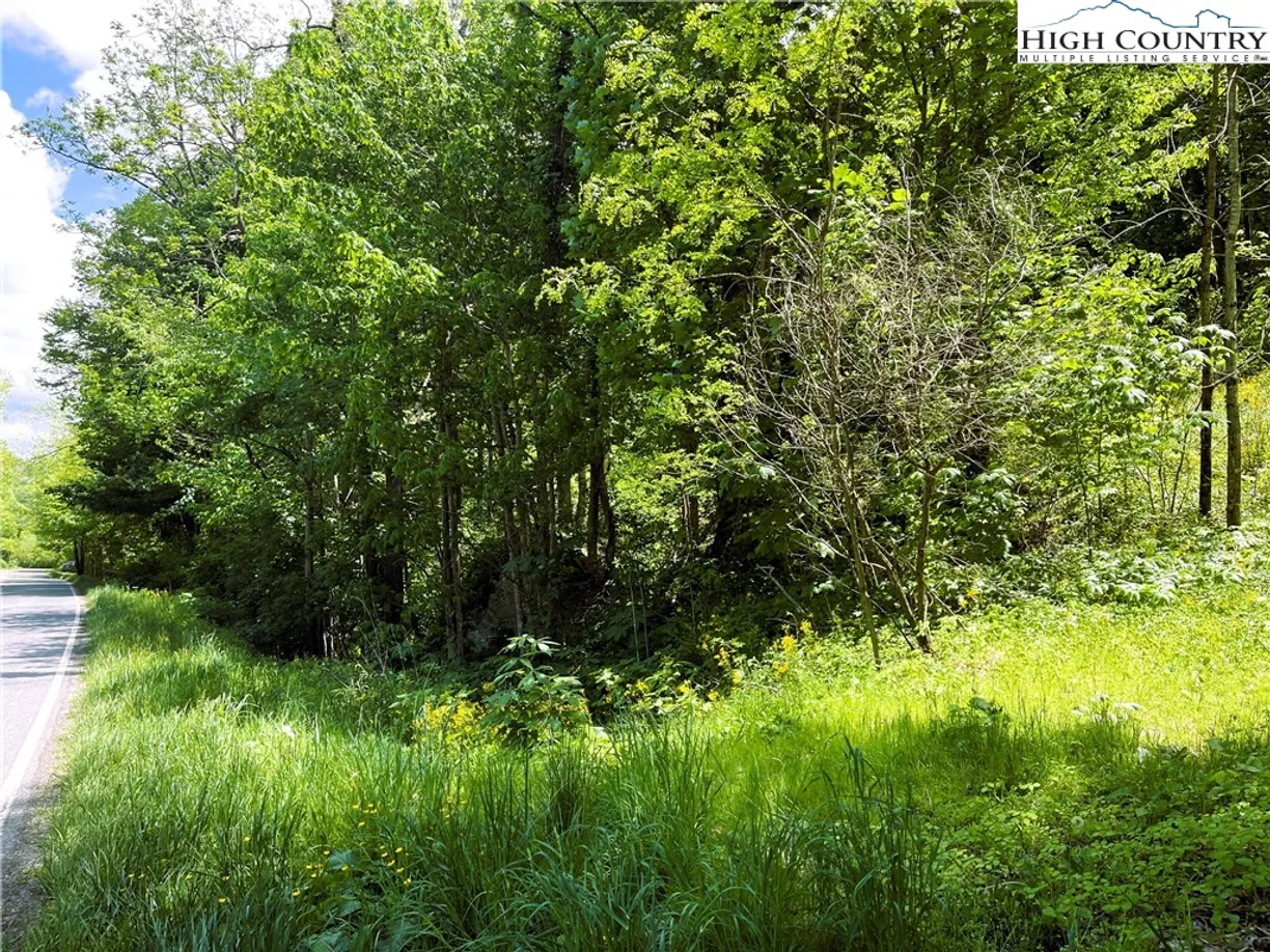 Charlotte Real Estate | View TBD HWY-321 | Listing