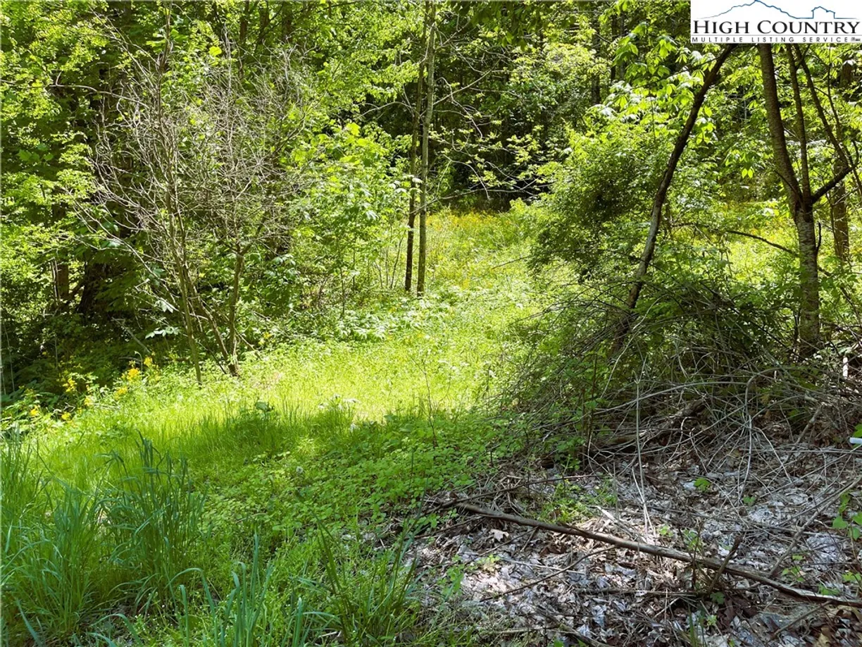 Charlotte Real Estate | View TBD HWY-321