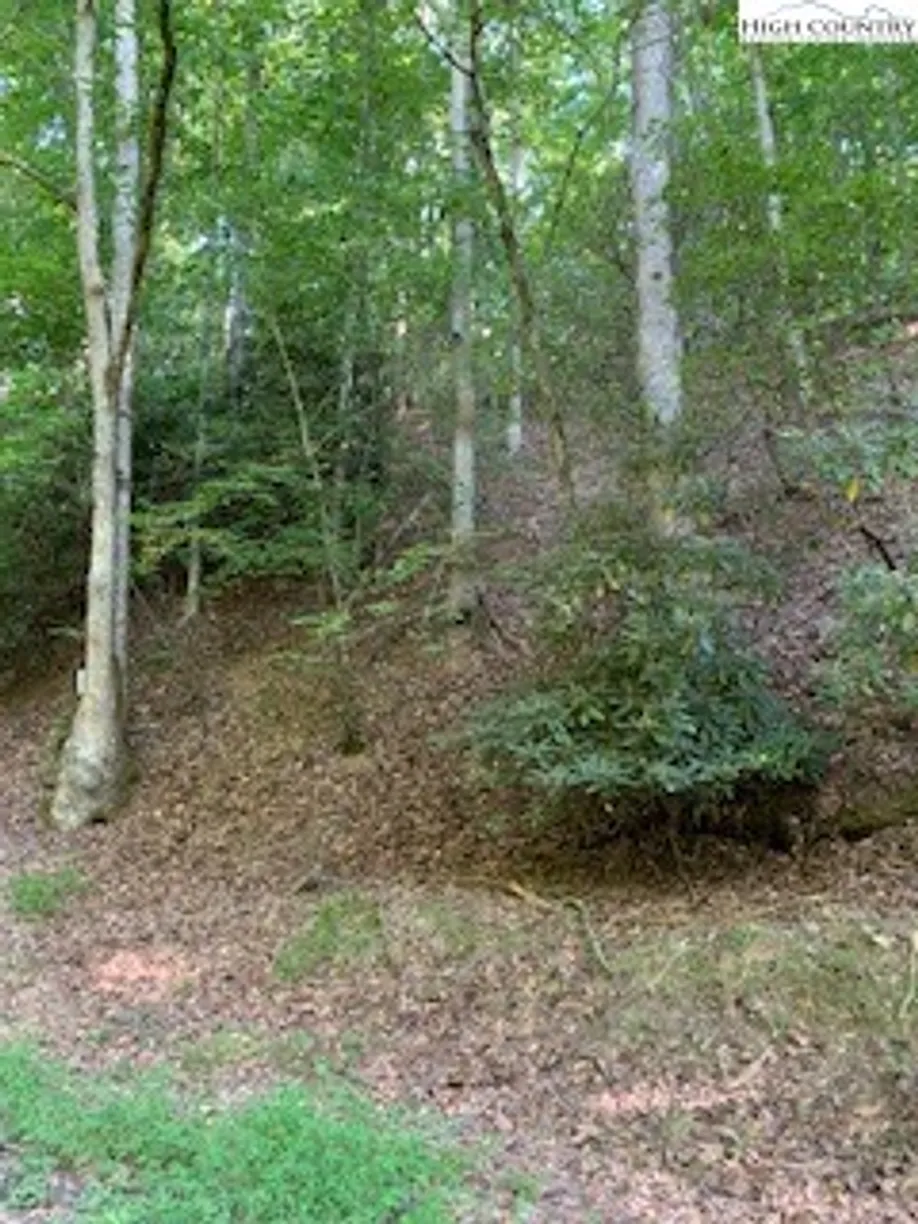 Charlotte Real Estate | View Lot 3 Brightwood Trail | Listing