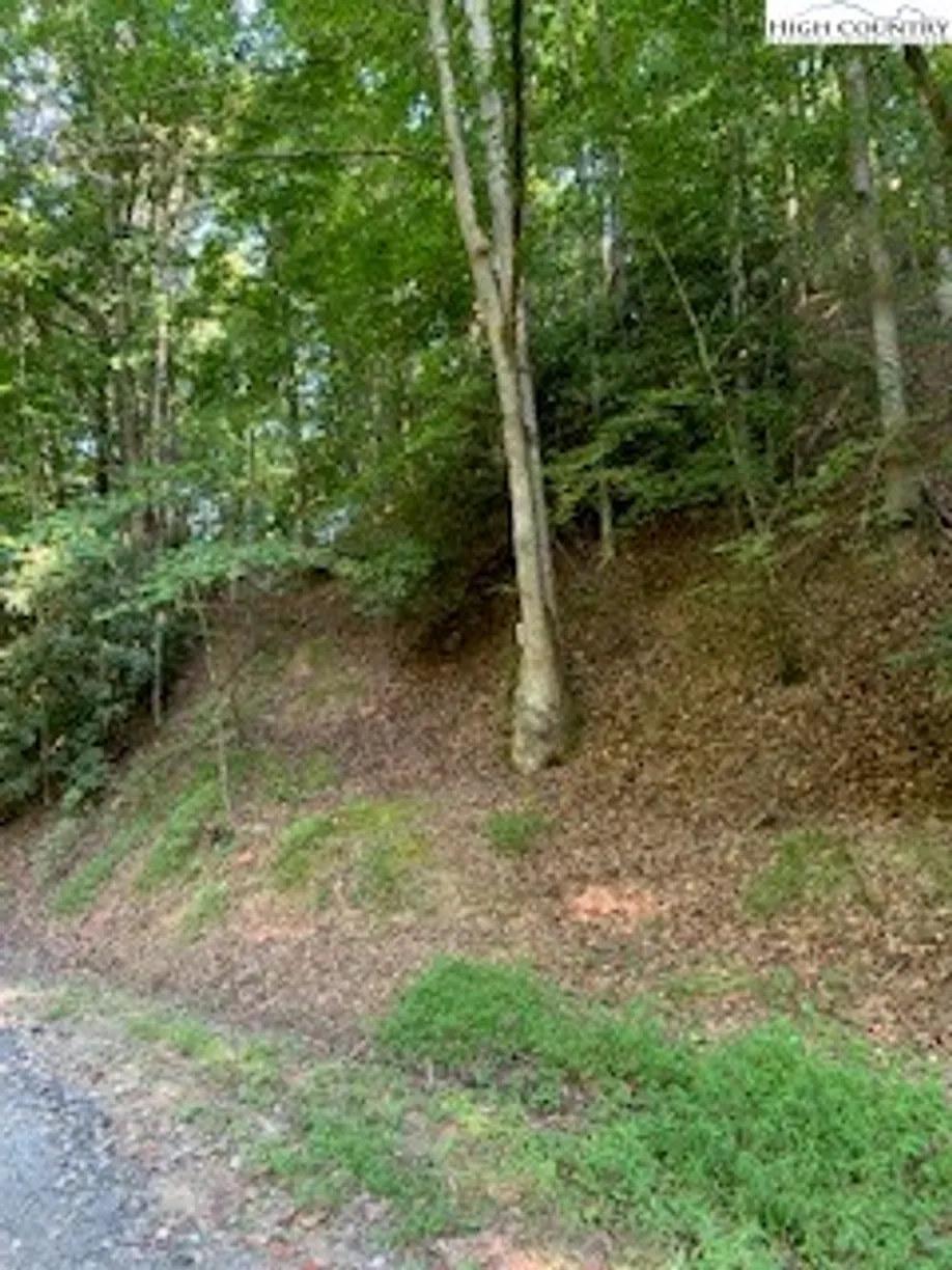 Charlotte Real Estate | View Lot 3 Brightwood Trail | Listing