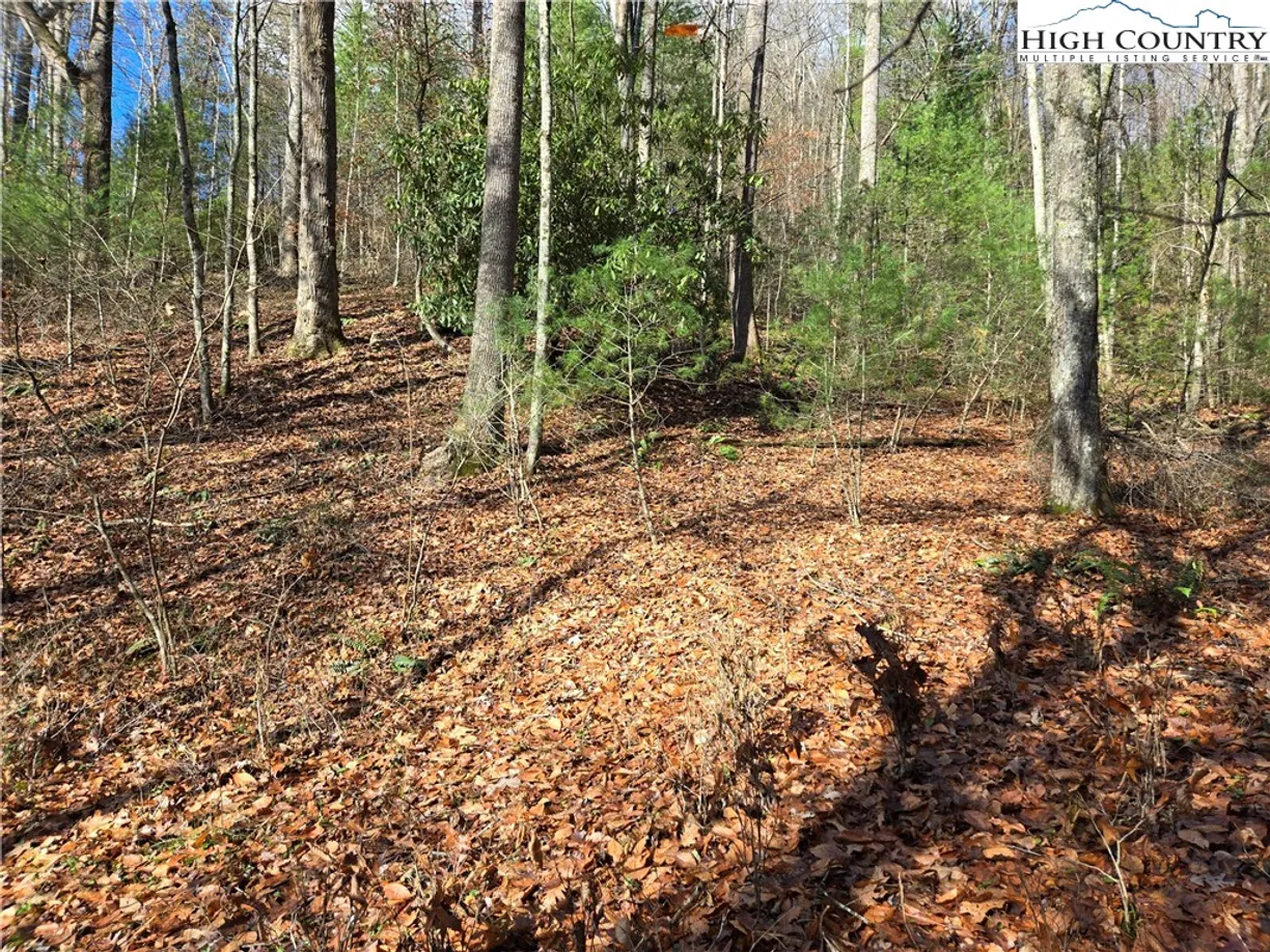 Charlotte Real Estate | View Lot 24 Riverstone