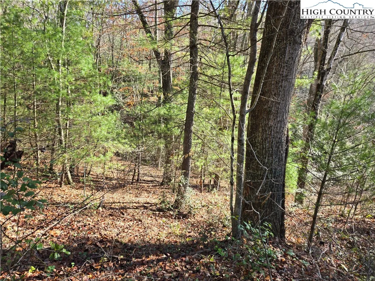 Charlotte Real Estate | View Lot 24 Riverstone | Listing