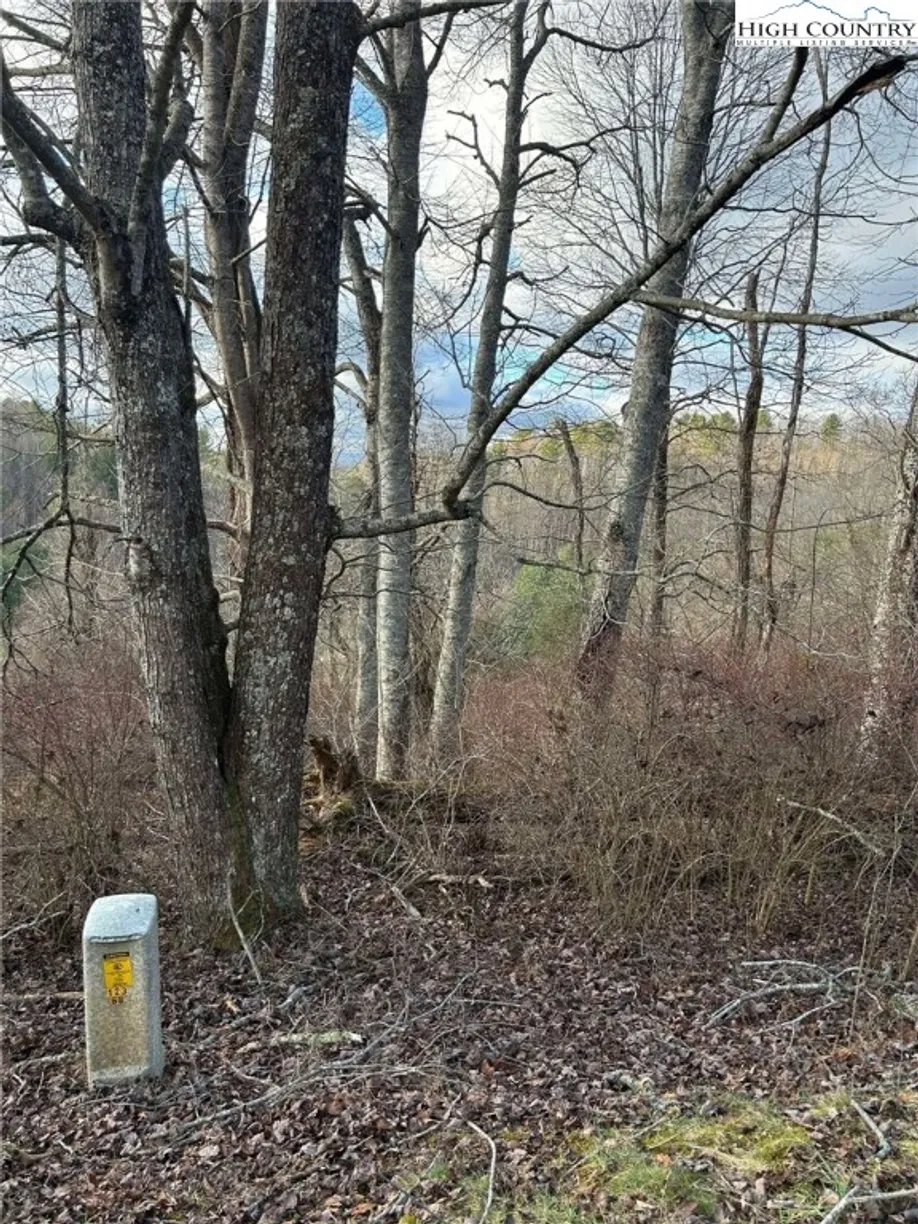 Charlotte Real Estate | View Lot #16 Marios Road, 16 Marios Road