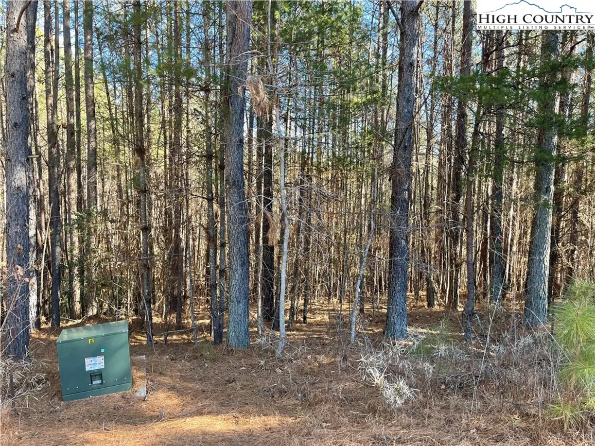 Charlotte Real Estate | View 109 Shortoff Trail | Listing