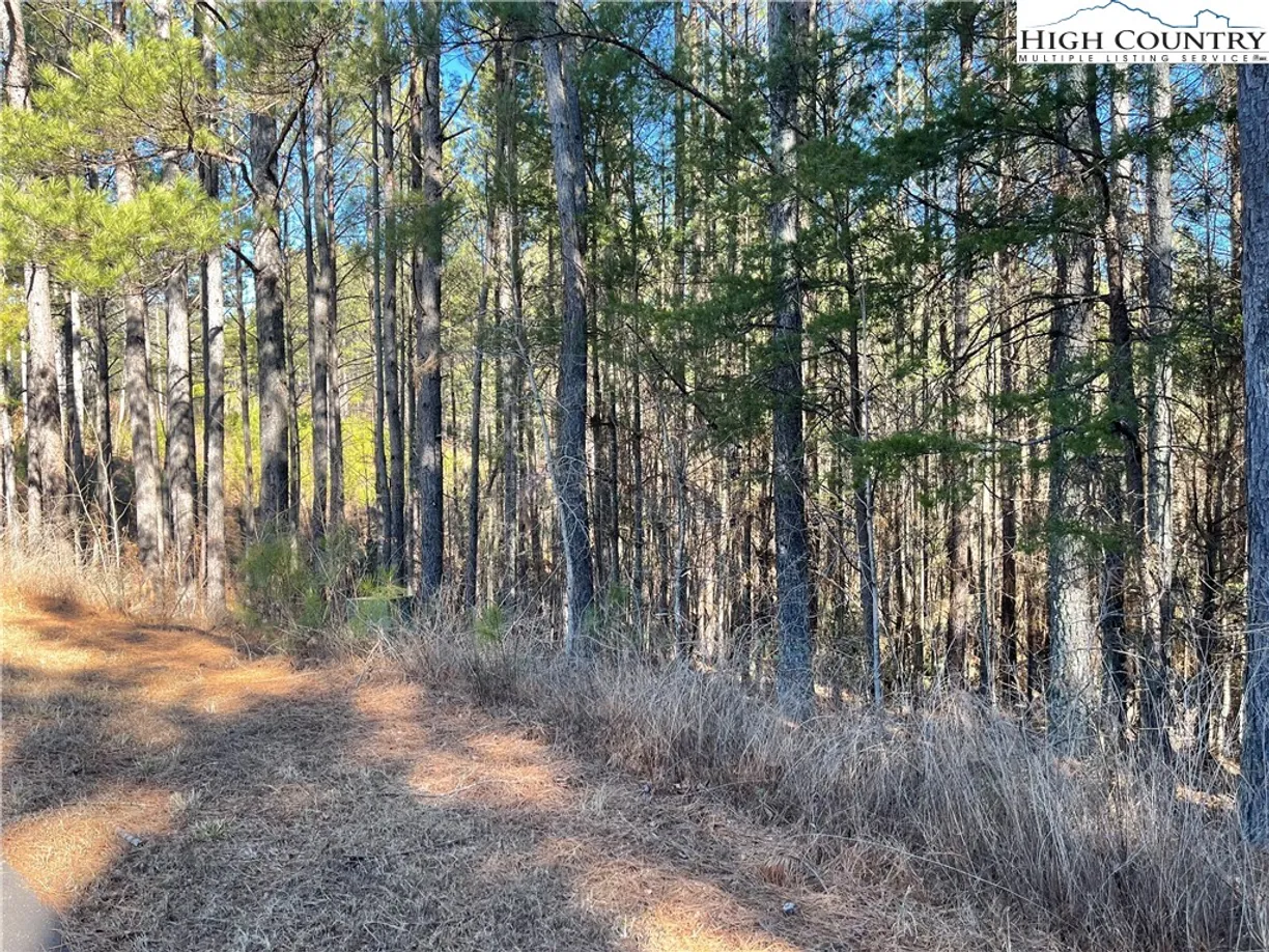 Charlotte Real Estate | View 109 Shortoff Trail