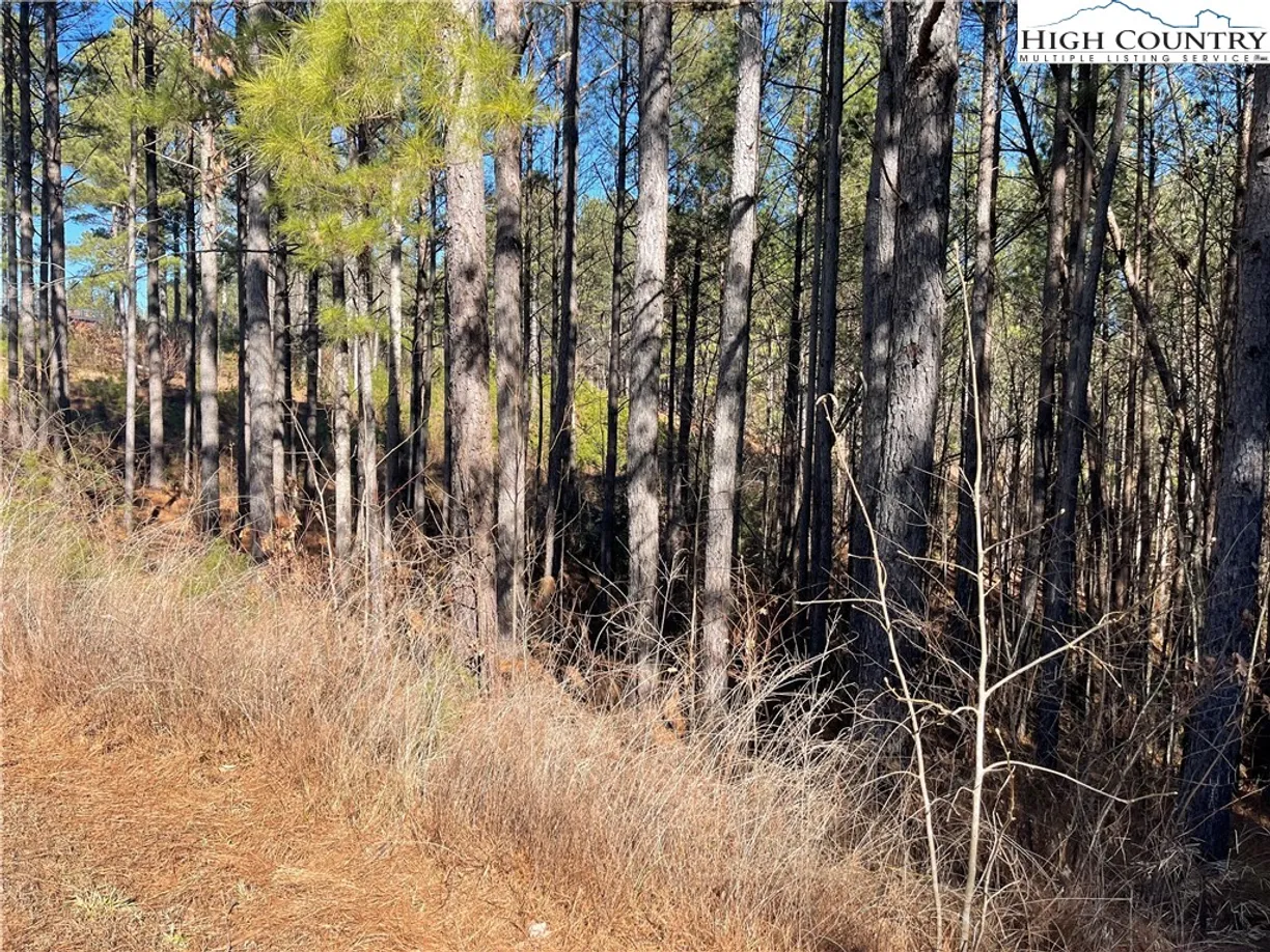 Charlotte Real Estate | View 109 Shortoff Trail | Listing