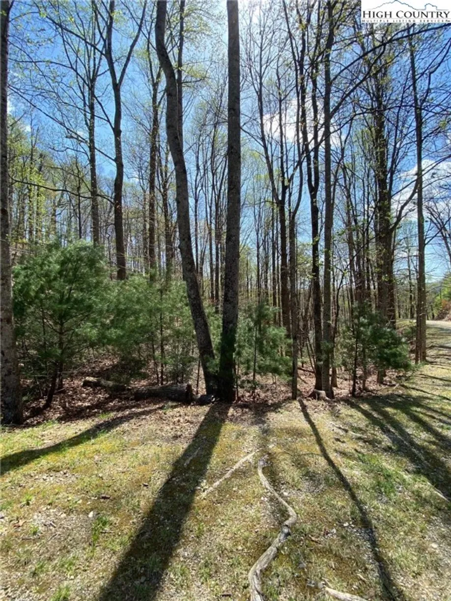 Charlotte Real Estate | View TBD Elk Ridge Road | Listing