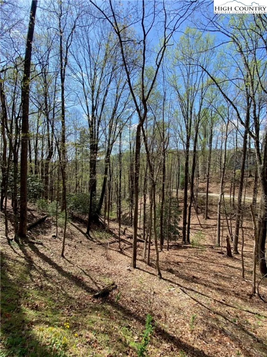 Charlotte Real Estate | View TBD Elk Ridge Road