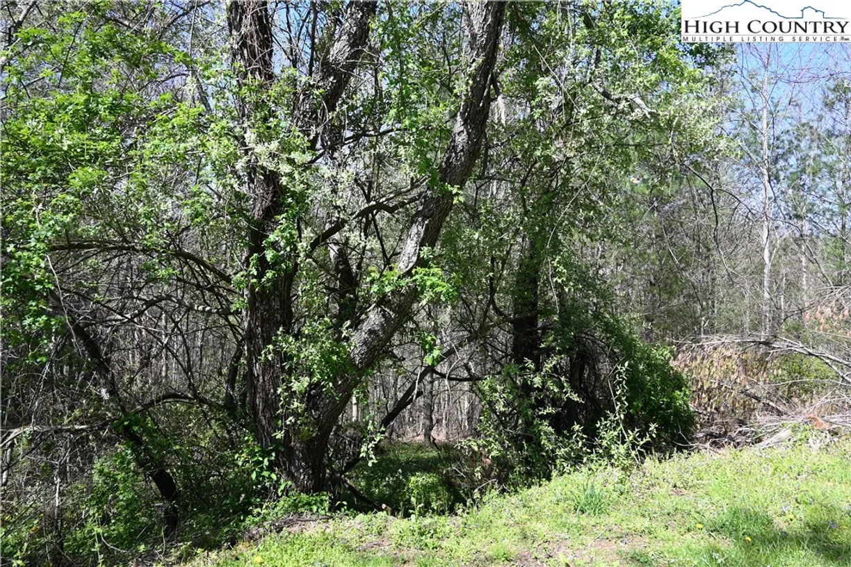 Charlotte Real Estate | View 15A River Bend Hills Road | Listing