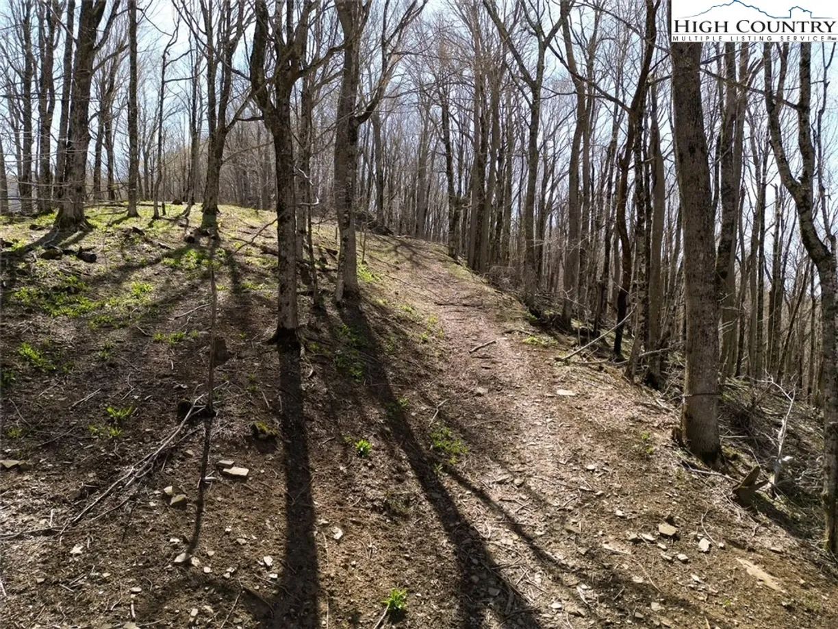 Charlotte Real Estate | View 796 Goat Mountain Road | Listing
