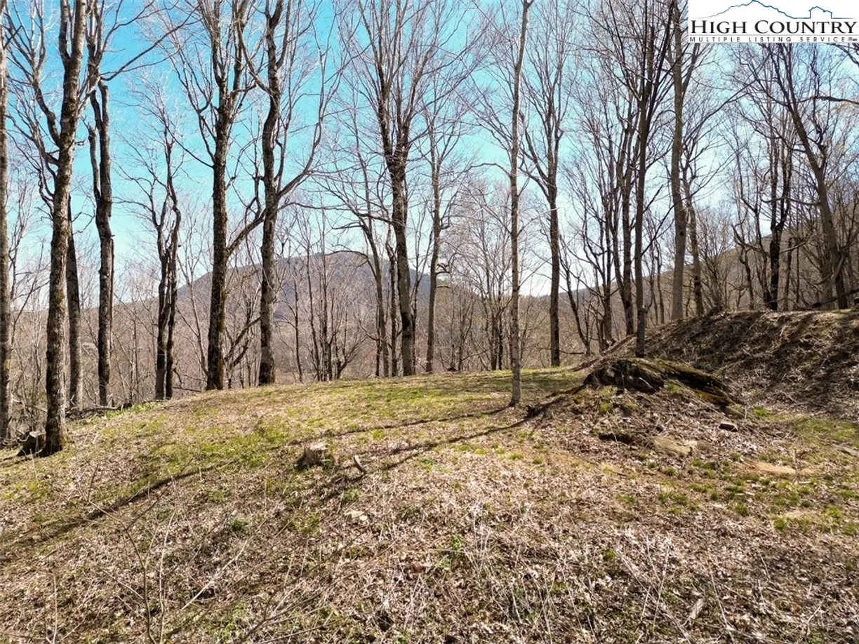 Charlotte Real Estate | View 796 Goat Mountain Road