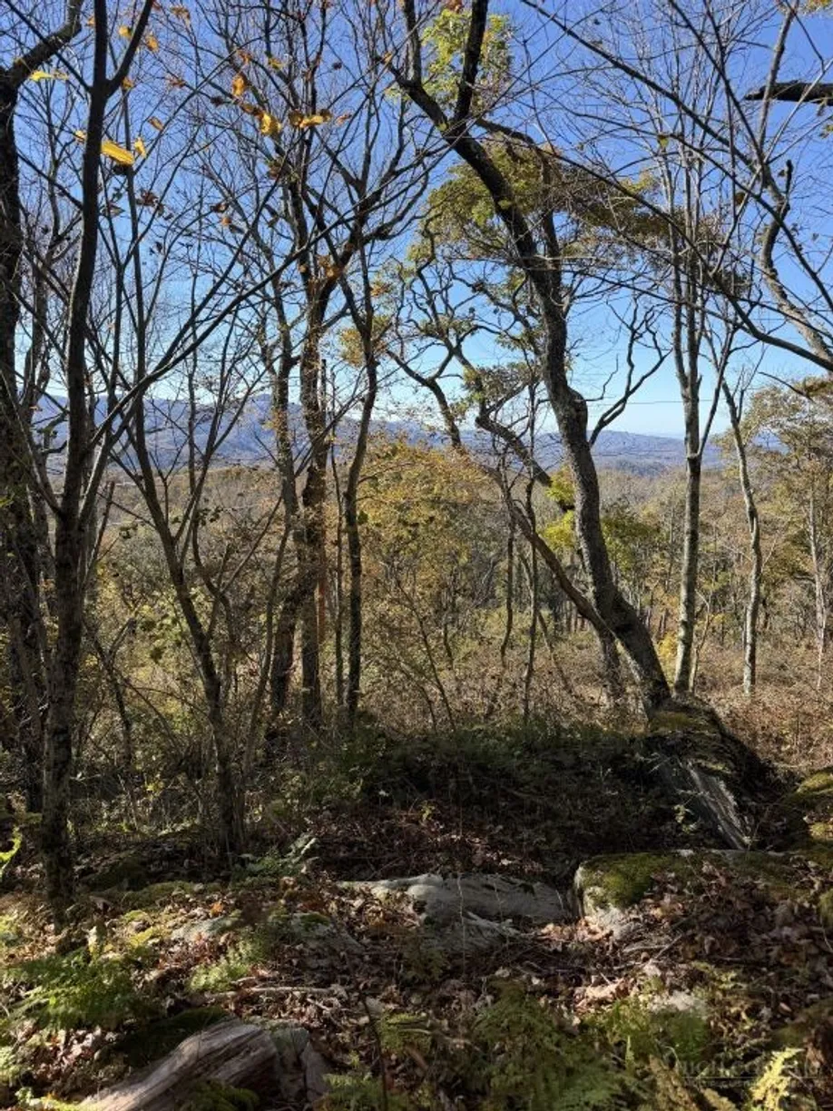 Lot #44 Summit Trail #44 Summit Trail, Banner Elk, NC 28604 Property ...