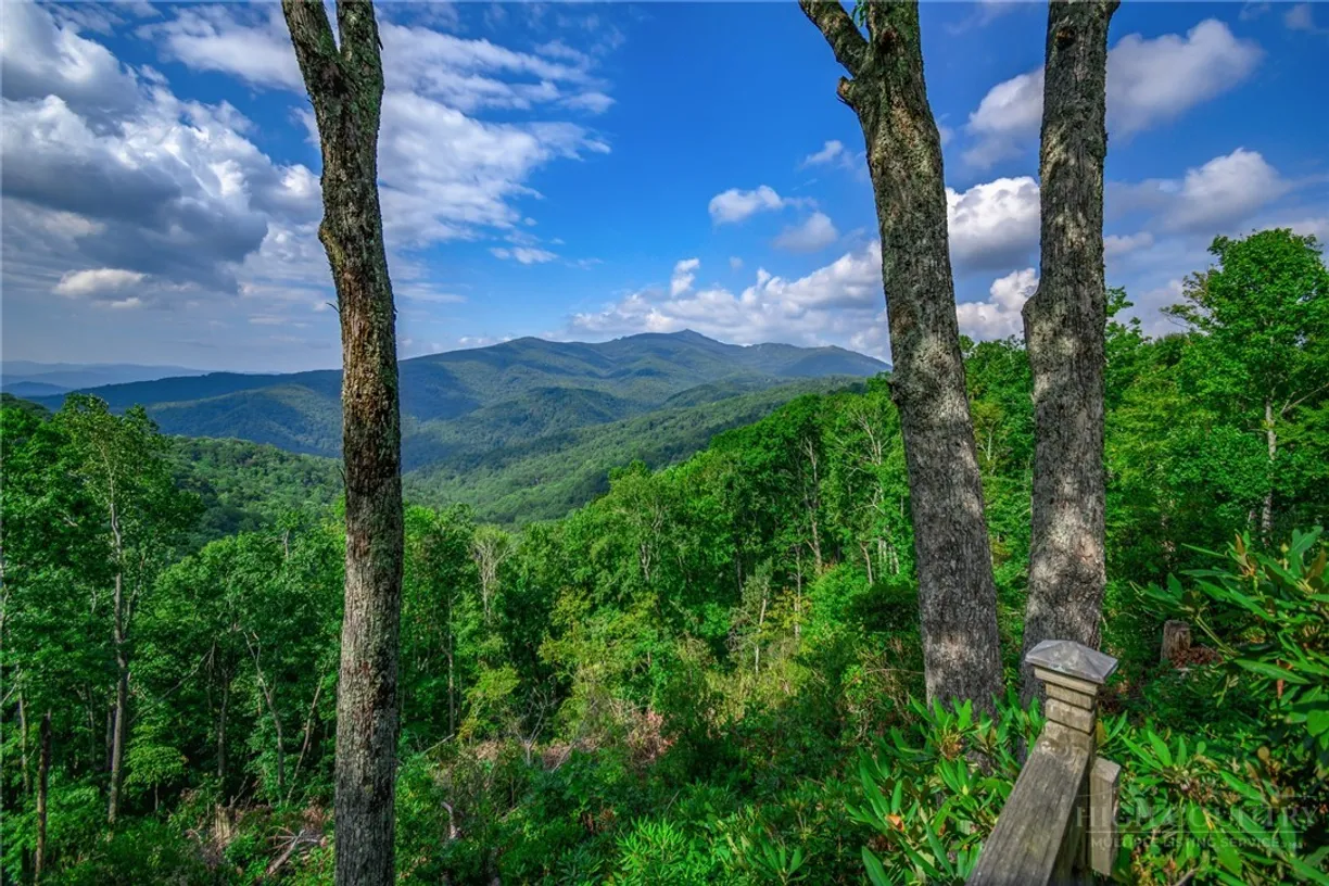 TBD Forest Trail, Blowing Rock, NC 28605 Property for sale