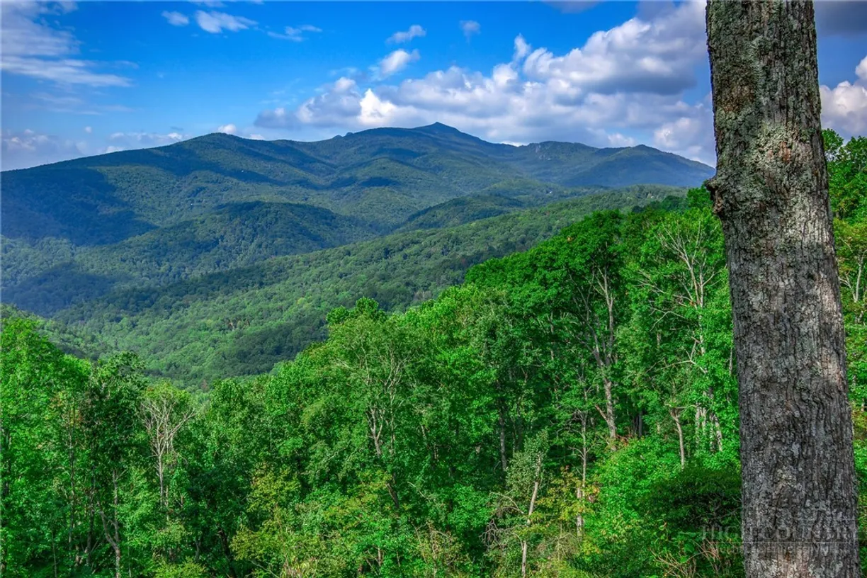 TBD Forest Trail, Blowing Rock, NC 28605 Property for sale