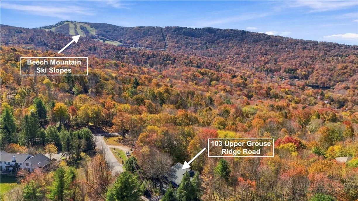 103 Upper Grouse Ridge Road, Beech Mountain, NC 28604 Property for sale