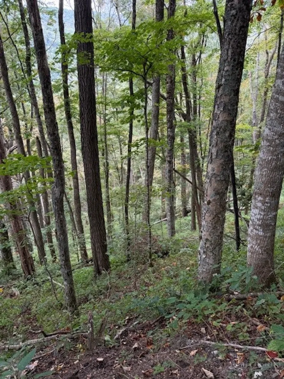 Lot 73 TBD Poplar Trail, Creston, NC 28615 Property for sale