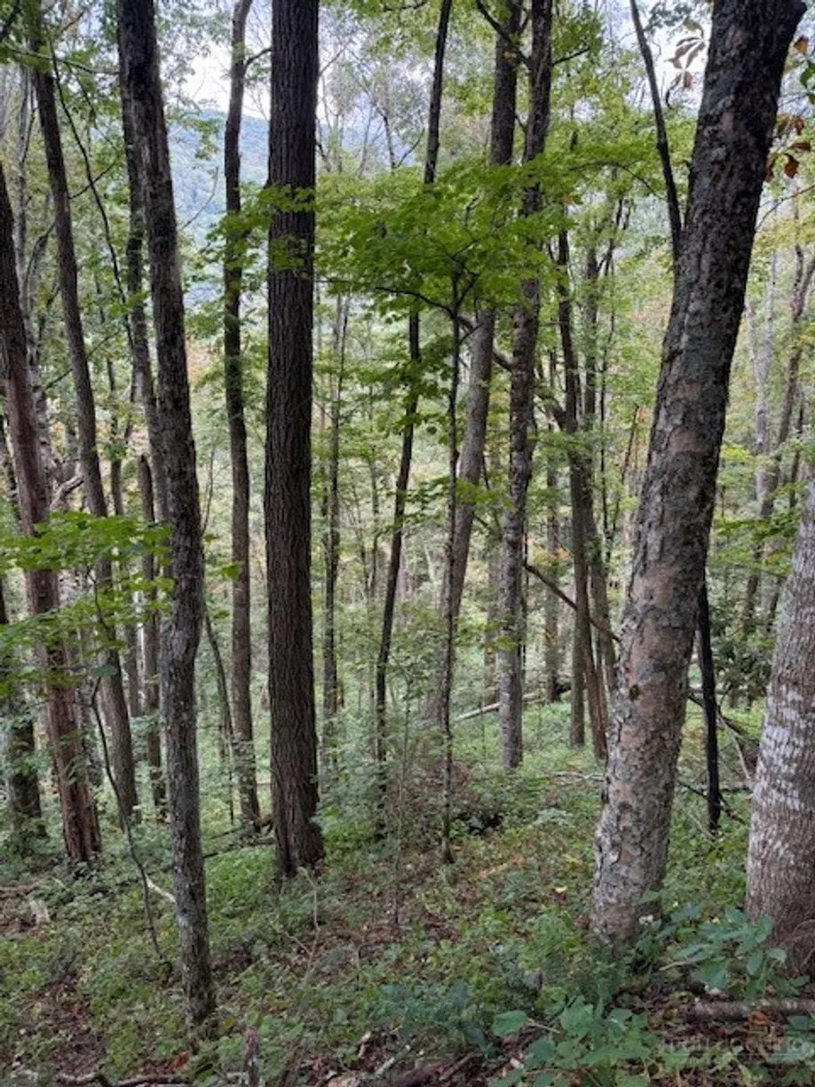 Lot 73 TBD Poplar Trail, Creston, NC 28615 Property for sale