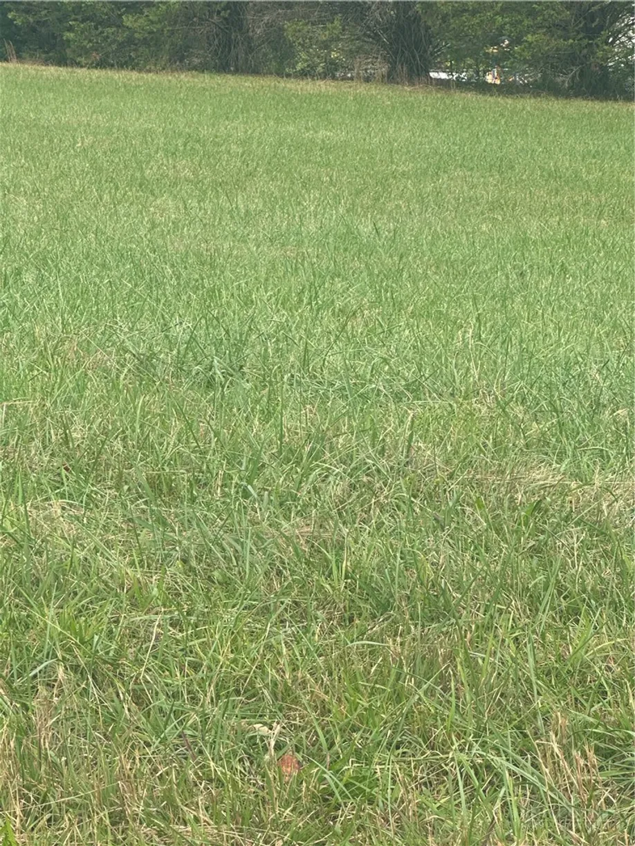 Lot 106 Parson Lane, North Wilkesboro, NC 28659 Property for sale