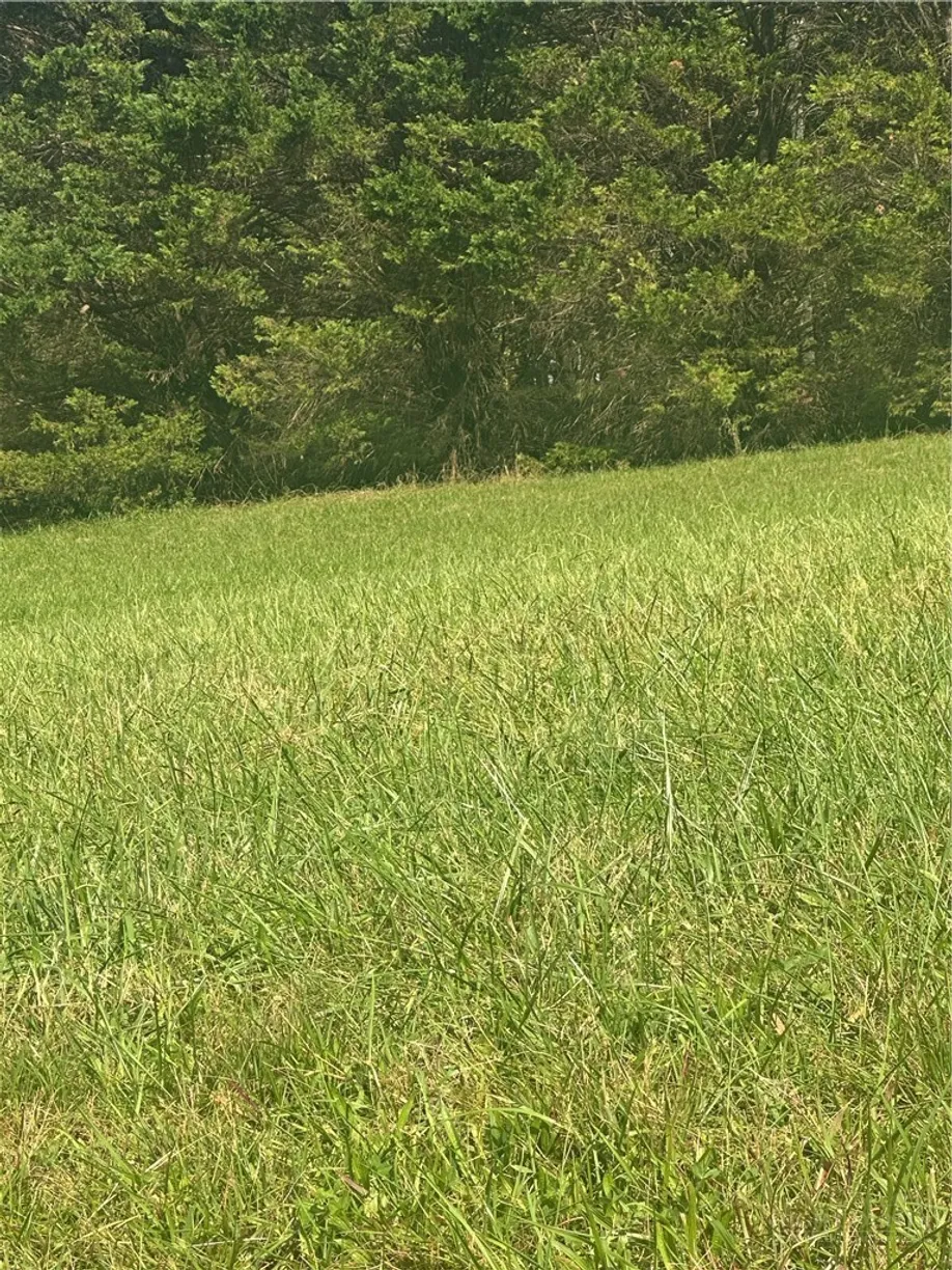 Lot 104 Parson Lane, North Wilkesboro, NC 28659 Property for sale