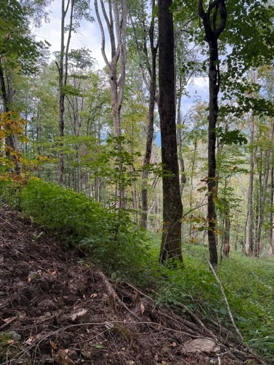 Lot 74a TBD Poplar Trail, Creston, NC 28615 Property for sale