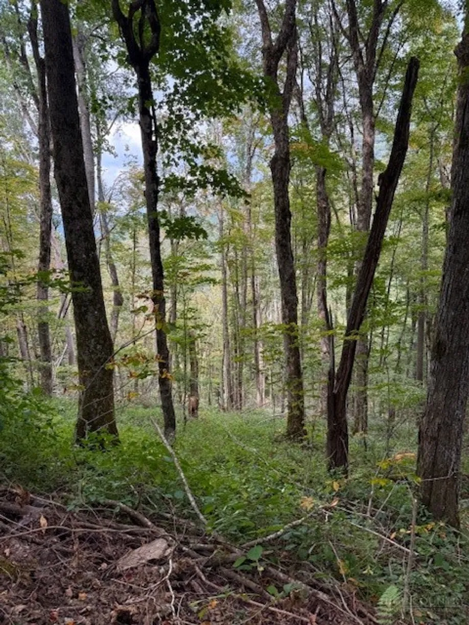Lot 74a TBD Poplar Trail, Creston, NC 28615 Property for sale