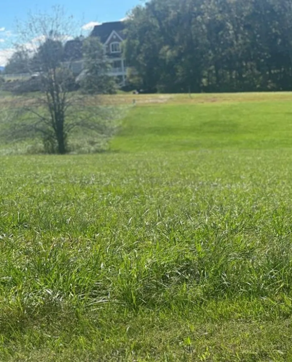 Lot 205 Canterbury Drive, North Wilkesboro, NC 28659 Property for sale