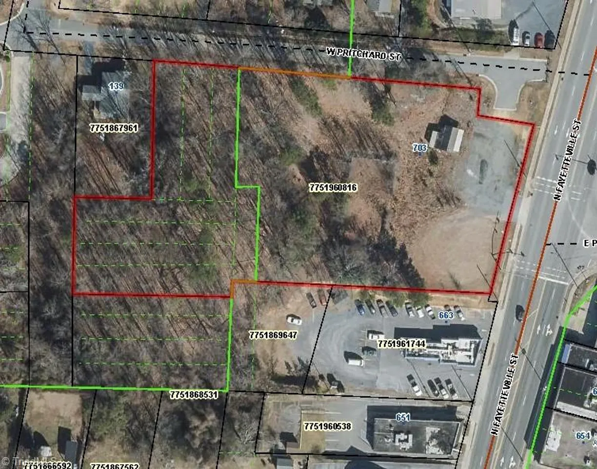 Charlotte Real Estate | View 703 N Fayetteville Street