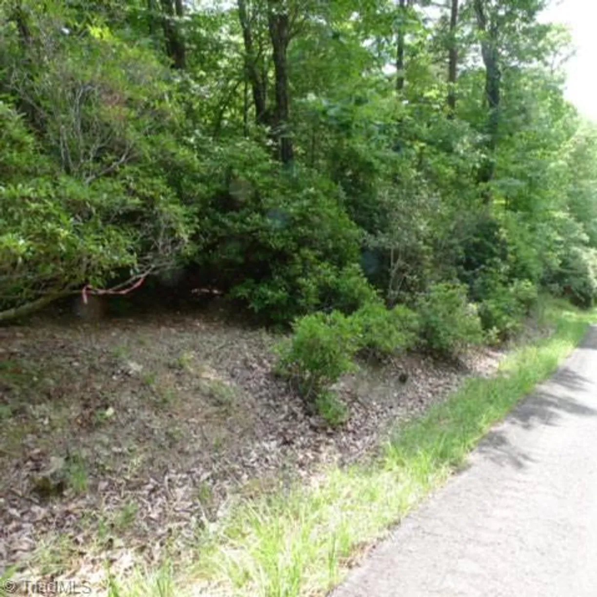 Charlotte Real Estate | View Lot 17 Mountain View Drive
