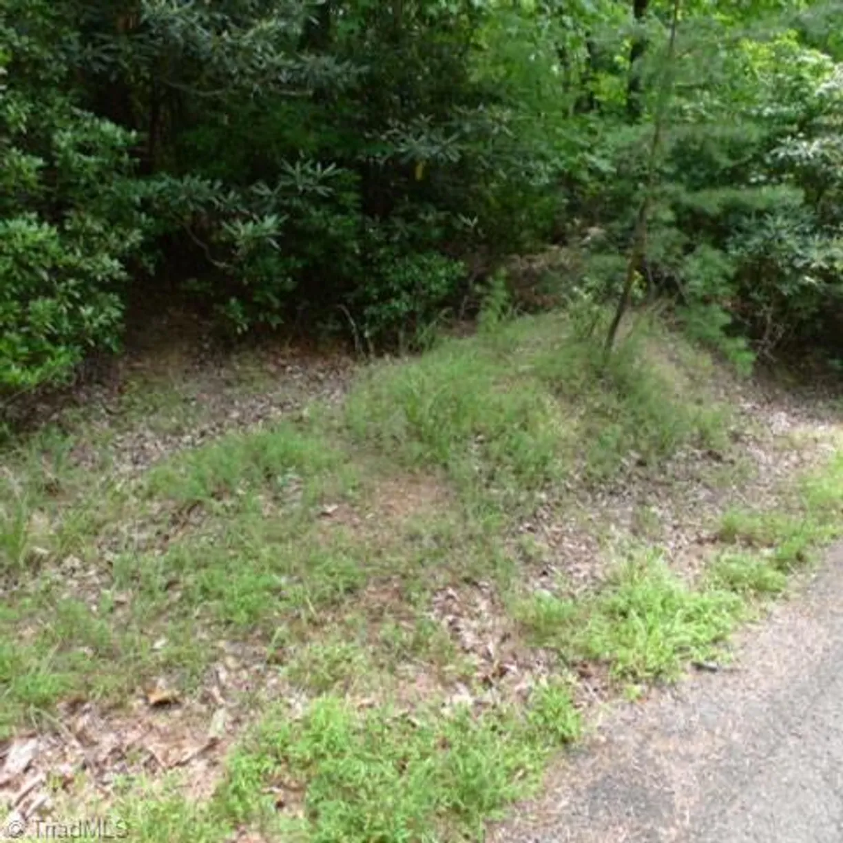 Charlotte Real Estate | View Lot 17 Mountain View Drive | Listing