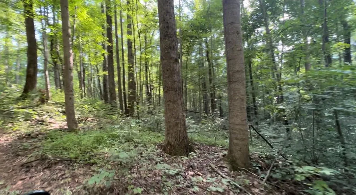 Charlotte Real Estate | View TBD-1 Peter Mabe Road | Listing