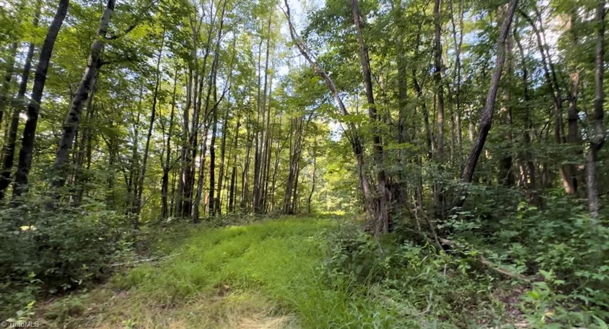 Charlotte Real Estate | View TBD-1 Peter Mabe Road
