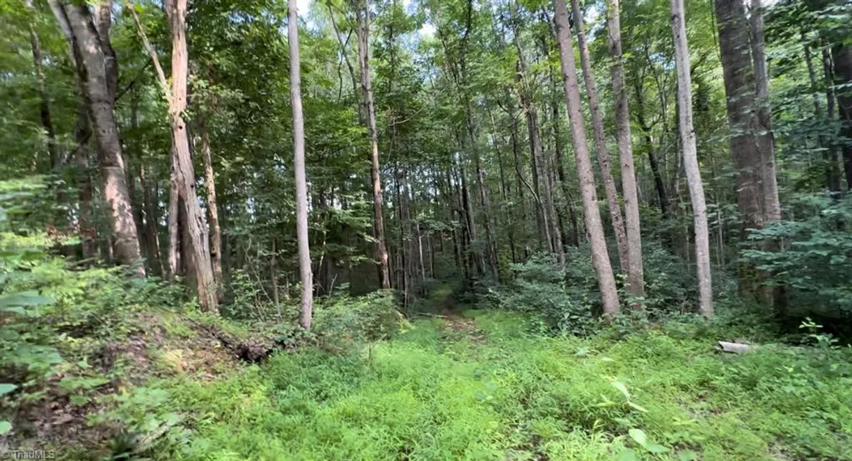 Charlotte Real Estate | View TBD-1 Peter Mabe Road | Listing